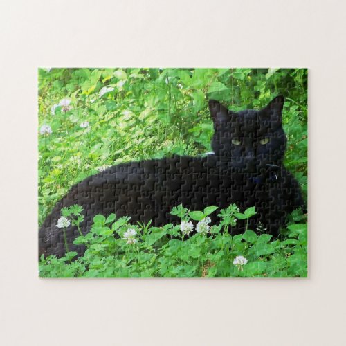 Bombay Cat Lying in Green Clover Puzzle