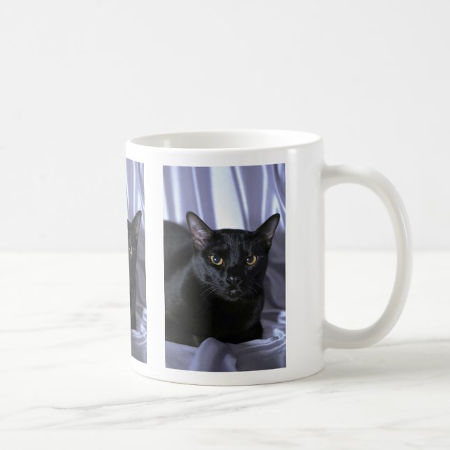 Bombay Coffee Mug (Right)