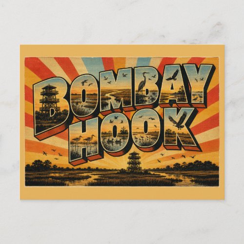 Bombay Hook Delaware Salt Marsh Wildlife Art Postcard