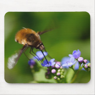 Bombylius major mouse pad