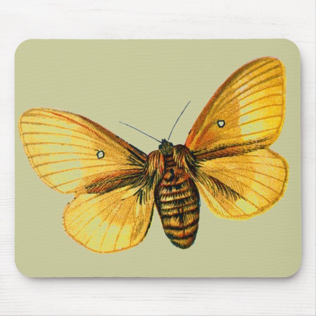 Bombyx quercus female mouse pad (Front)