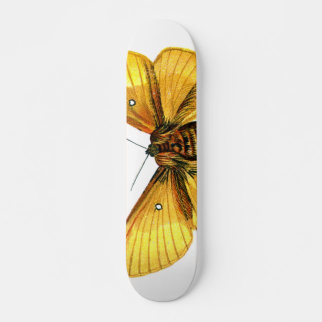 Bombyx quercus female skateboard deck (Front)
