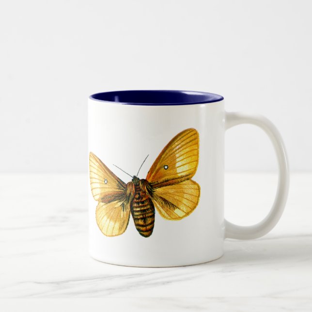 Bombyx quercus female Two-Tone coffee mug (Right)