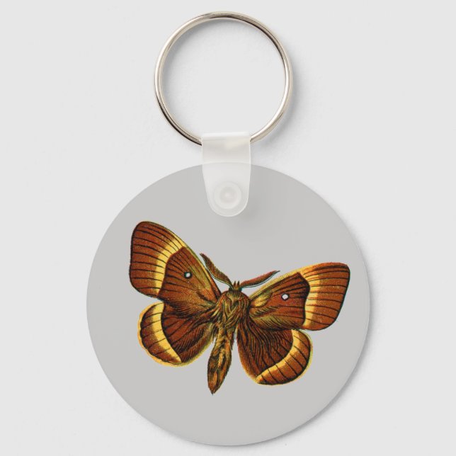 Bombyx quercus male keychain (Front)