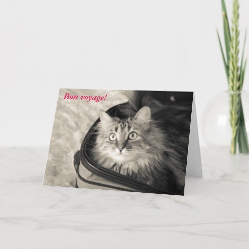 Bon voyage card with cat