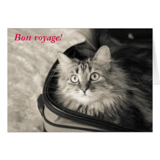 bon_voyage_card_with_cat-r5d8fb96b995140