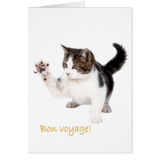 Bon Voyage! Cards (Front)