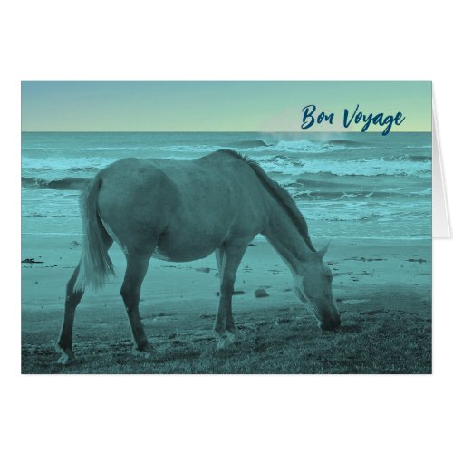 Bon Voyage Horse Near Lake Michigan