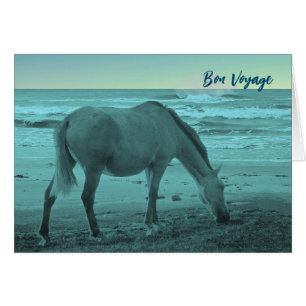 Bon Voyage Horse Near Lake Michigan Cards