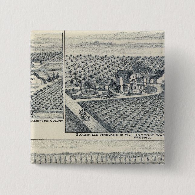 Bonacourt Ranch, Washington Colony, California Pinback Button (Front)