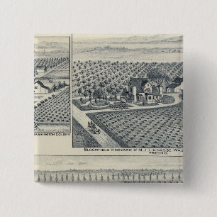 Bonacourt Ranch, Washington Colony, California Pinback Button