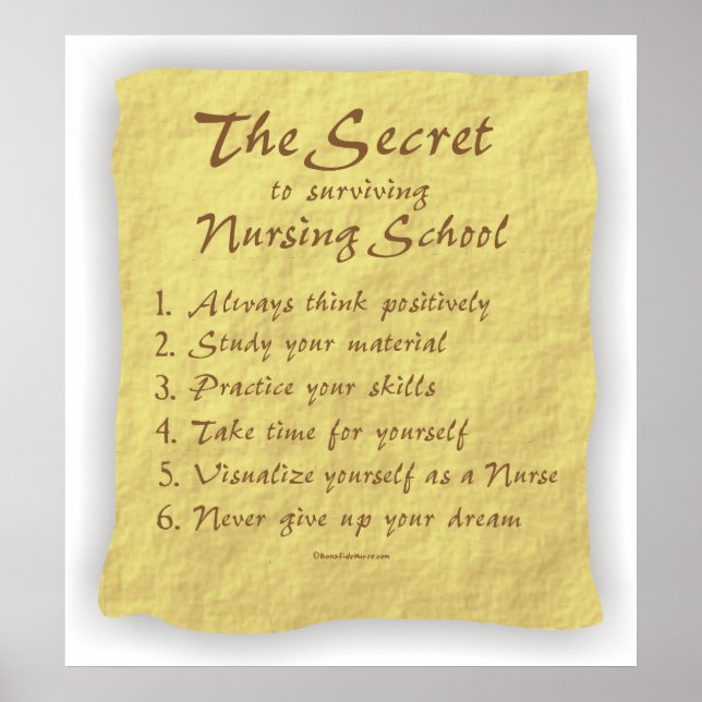 BonafideNurse_-_Secret_to_Surviving_Nursing_School Poster (Front)
