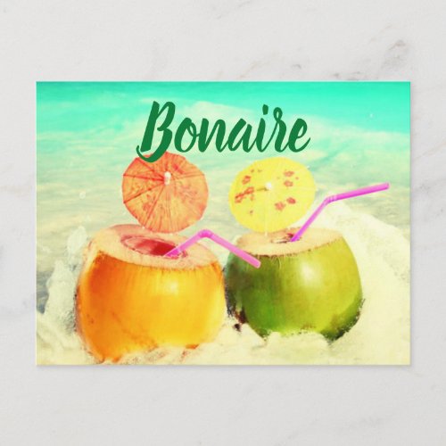 Bonaire coconuts postcard