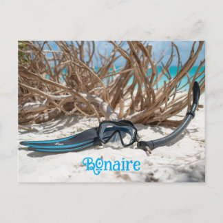 Bonaire divers paradise postcard