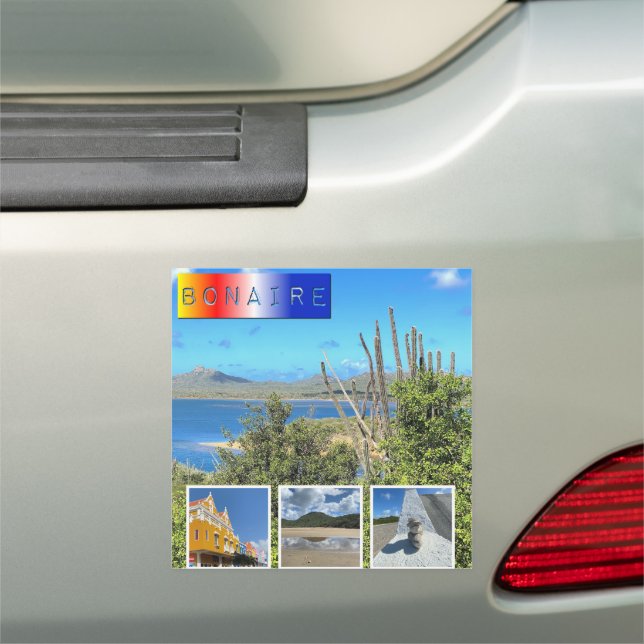 Bonaire Photo Collage Car Magnet (In Situ)