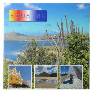 Bonaire Photo Collage Ceramic Tile