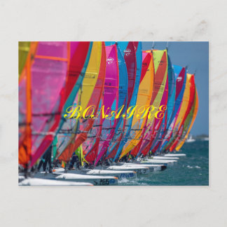 Bonaire Postcard