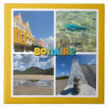 Bonaire Scenic Photo Collage Ceramic Tile