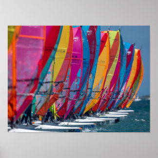 Bonaire wind surfers poster