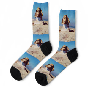 Bonaparte Before the Sphinx by Jean-Leon Gerome Socks