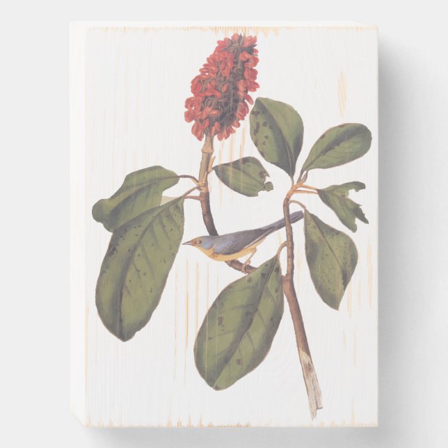 Bonaparte Flycatcher Bird Wooden Box Sign (Front Vertical)