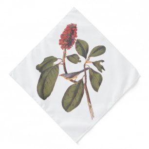 Bonaparte Flycatcher Canada Warbler Audubon Bird Bandana