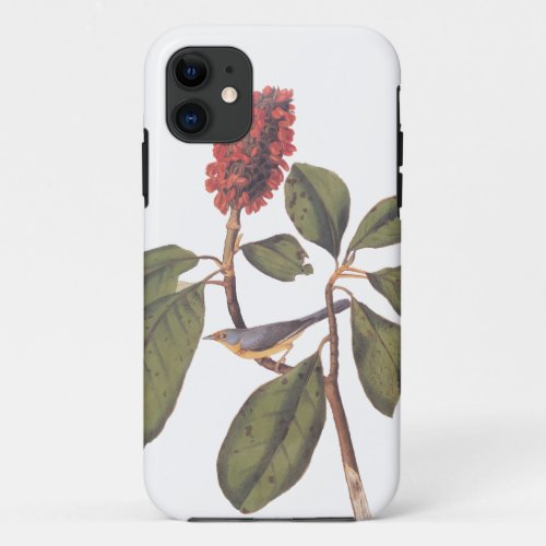 Bonaparte Flycatcher Canada Warbler Audubon Bird iPhone 11 Case