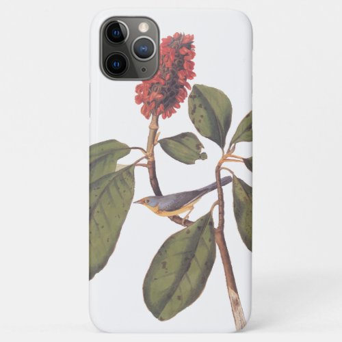 Bonaparte Flycatcher Canada Warbler Audubon Bird iPhone 11 Pro Max Case