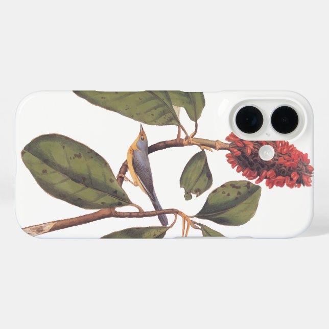 Bonaparte Flycatcher Canada Warbler Audubon Bird Case-Mate iPhone Case (Back (Horizontal))