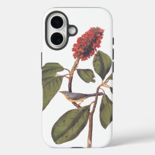 Bonaparte Flycatcher Canada Warbler Audubon Bird iPhone 16 Case