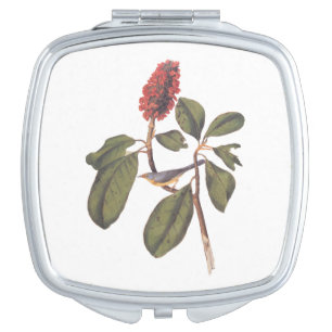 Bonaparte Flycatcher Canada Warbler Audubon Bird Compact Mirror