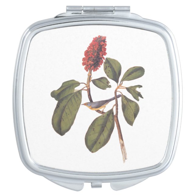 Bonaparte Flycatcher Canada Warbler Audubon Bird Compact Mirror (Front)