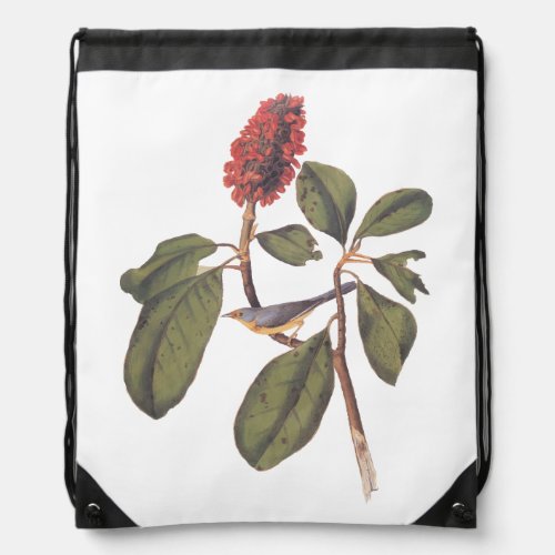 Bonaparte Flycatcher Canada Warbler Audubon Bird Drawstring Bag