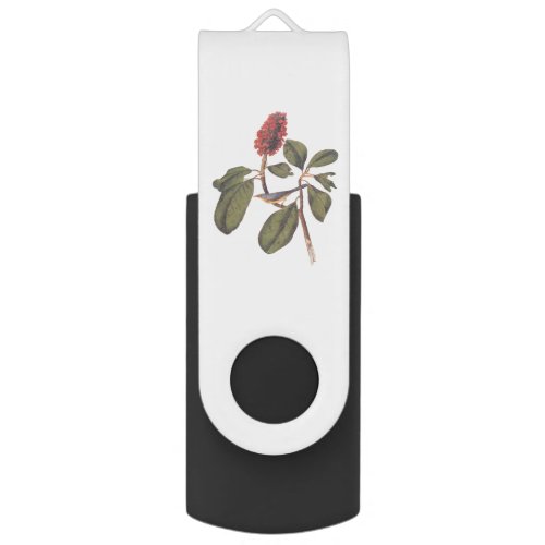 Bonaparte Flycatcher Canada Warbler Audubon Bird Flash Drive