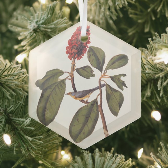 Bonaparte Flycatcher Canada Warbler Audubon Bird Glass Ornament (Insitu)