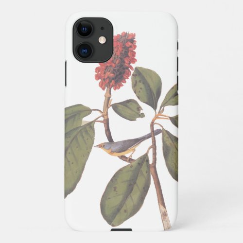 Bonaparte Flycatcher Canada Warbler Audubon Bird iPhone 11 Case