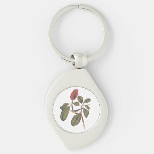 Bonaparte Flycatcher Canada Warbler Audubon Bird Keychain