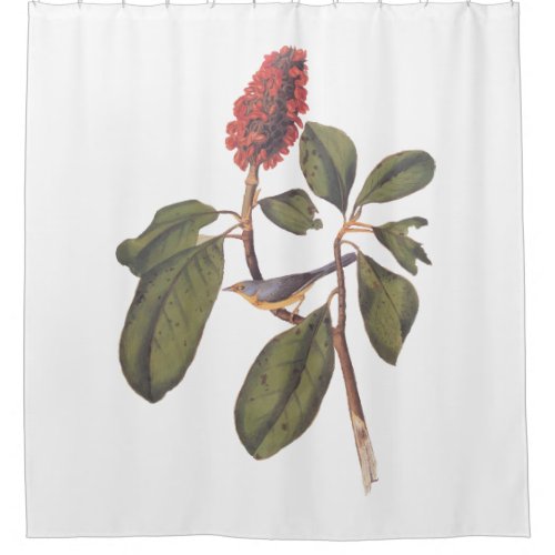 Bonaparte Flycatcher Canada Warbler Audubon Bird Shower Curtain