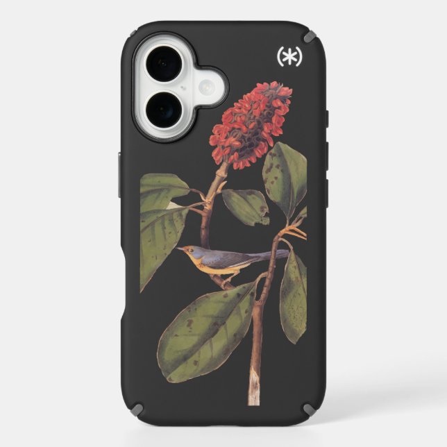 Bonaparte Flycatcher Canada Warbler Audubon Bird Speck iPhone Case (Front)