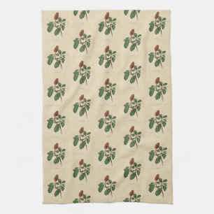 Bonaparte's Flycatcher, Audubon's Birds of America Kitchen Towel