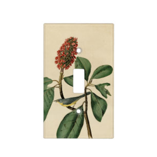 Bonaparte's Flycatcher, Audubon's Birds of America Light Switch Cover