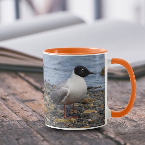 Bonapartes Gull at the Beach Mug