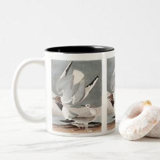 Bonaparte's Gull by John James Audubon Two-Tone Coffee Mug