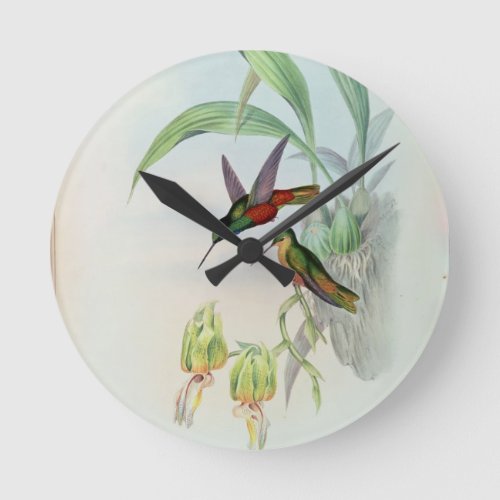 Bonapartes Star Fronted Hummingbird colored lit Round Clock