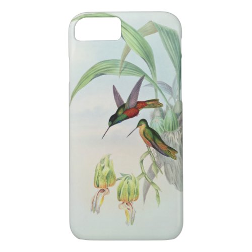 Bonapartes Star Fronted Hummingbird coloured lit iPhone 87 Case