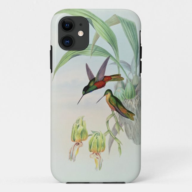 Bonaparte's Star Fronted Hummingbird (coloured lit Case-Mate iPhone Case (Back)