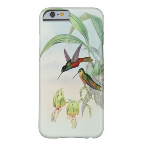 Bonapartes Star Fronted Hummingbird coloured lit Barely There iPhone 6 Case