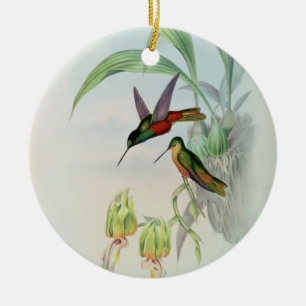 Bonaparte's Star Fronted Hummingbird (coloured lit Ceramic Ornament