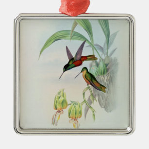 Bonaparte's Star Fronted Hummingbird (coloured lit Metal Ornament