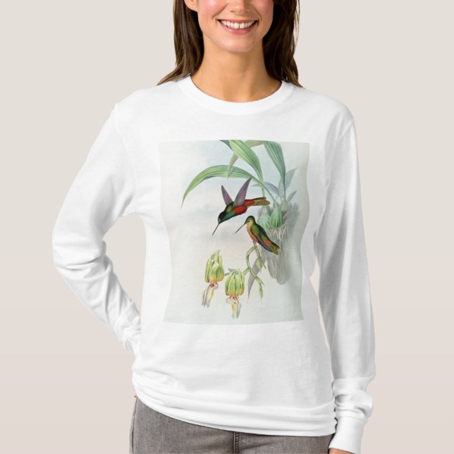 Bonaparte's Star Fronted Hummingbird (coloured lit T-Shirt (Front)